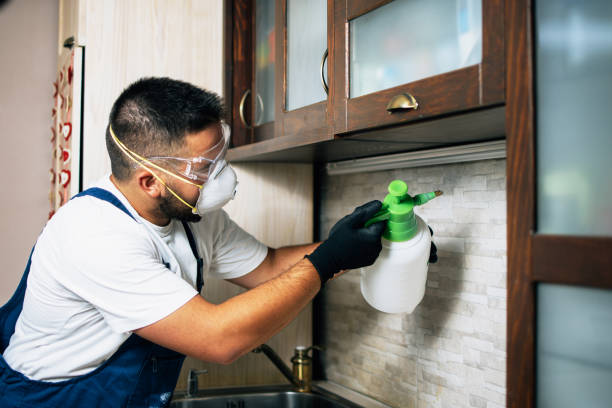Best Pest Control Near Me  in Poth, TX