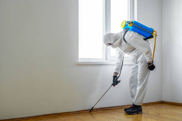 Best Cockroach Control Services  in Poth, TX
