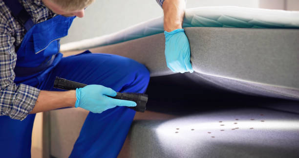 Pest Control for Restaurants in Poth, TX