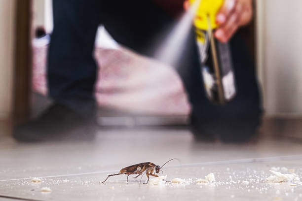 Pest Prevention Services in Poth, TX