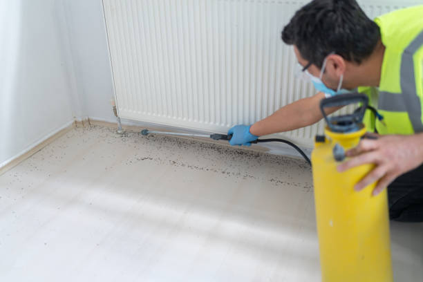 Best Pest Prevention Services  in Poth, TX